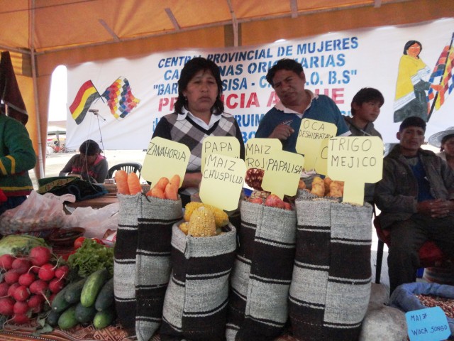 sso octava feria cbba 3