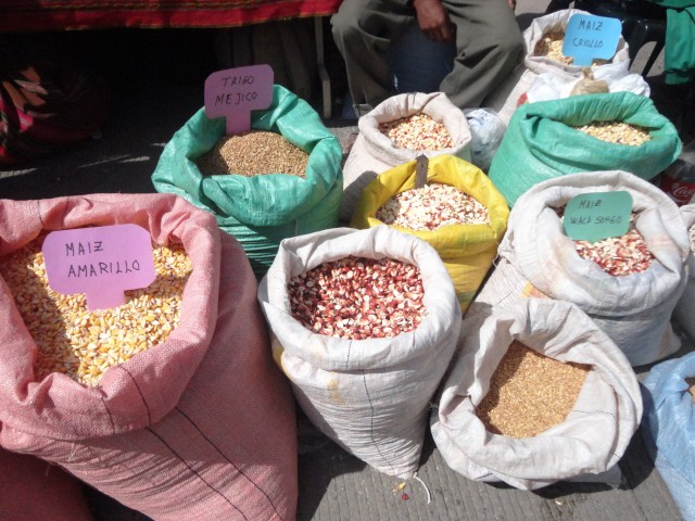 8va Feria Departamental Productiva: Diversidad y variedad de productos agropecuarios