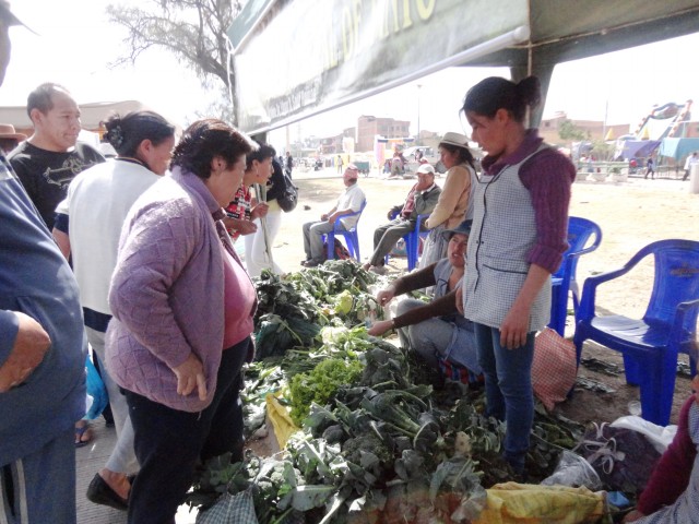 sso octava feria cbba 5