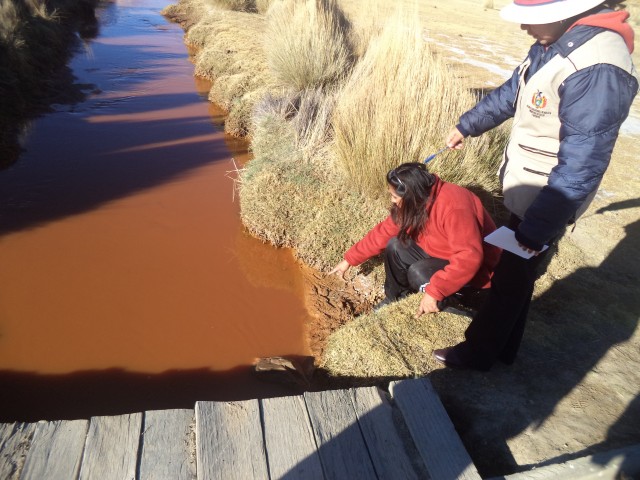 Denuncian muerte de animales por contaminación minera en Poopó