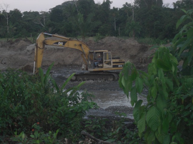 DC y CS tipnis 2014 10