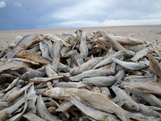 am lago poopó 18122014 10