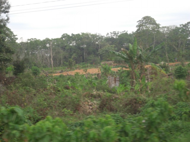 La carretera hacia el TIPNIS no se detiene