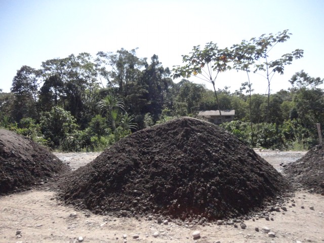 DC y CS tipnis 2014 7