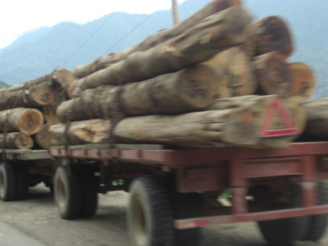 DC y CS tipnis 2014 9