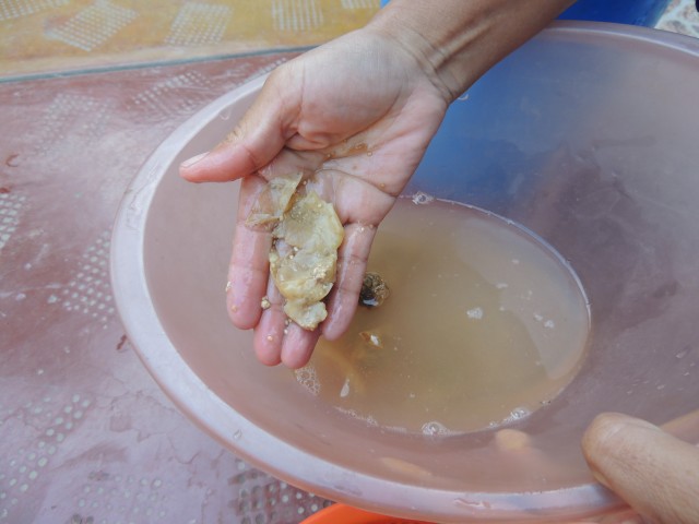 syso semilla fotoreportaje 5