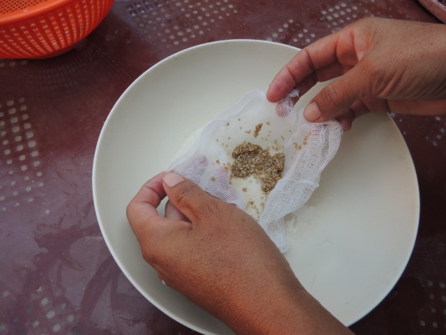 syso semilla fotoreportaje 7