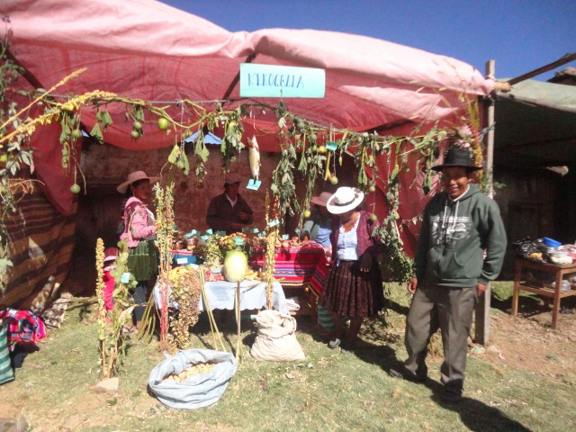 sysa feria paredones 21052015 3