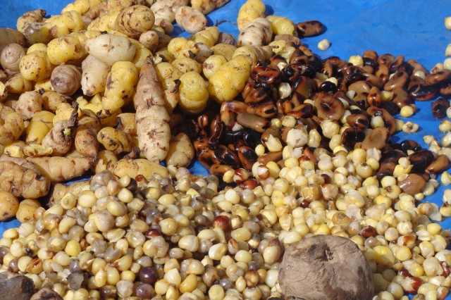 SA alimentacion DSC00214 2