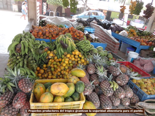 frutas del tropico