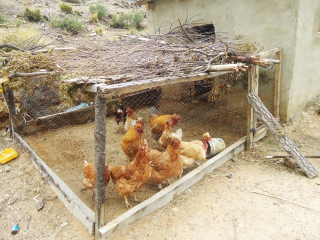 4 SySA patio DSC09290