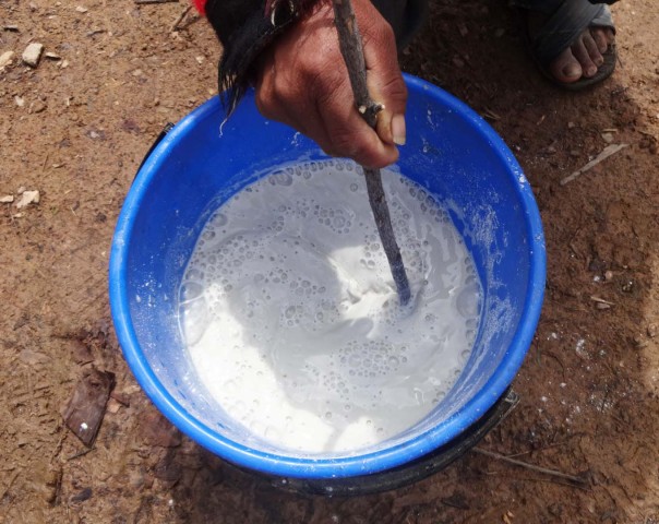 5 SySA prepasado kalDSC02152