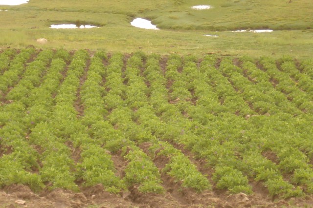 Tierra Territorio: ¿Quién controla el acceso a los recursos naturales?