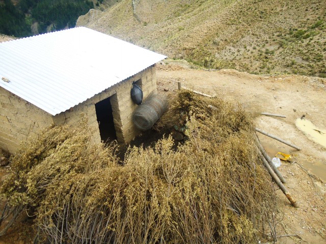 4 SySA patio DSC09309