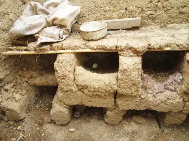 6 SySA nido DSC00026