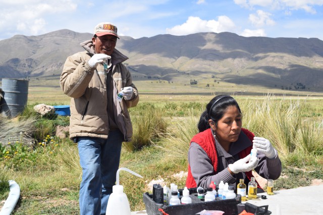 10 Monitores ayudando