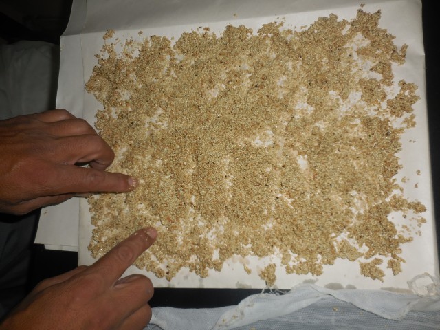 3 Semilla de baya o makunku