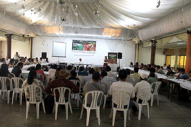 Resistencias de los Pueblos Indígenas