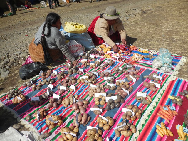 Papas variedades diferentes