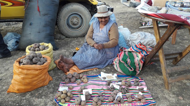 Expone Felicidad papas