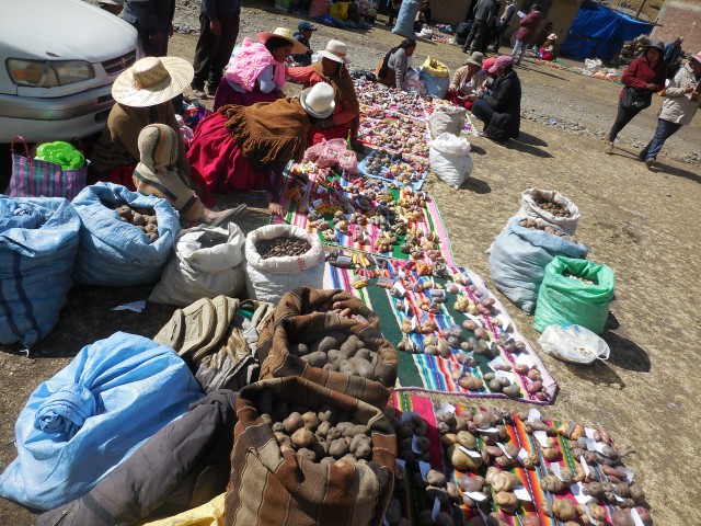 feria con productos todo