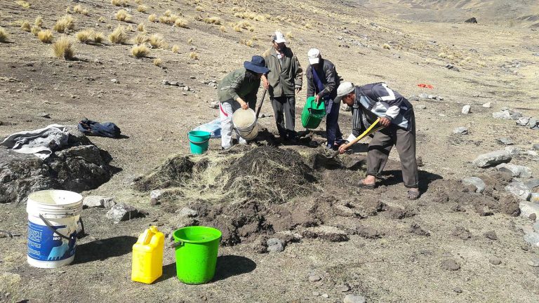 Mejorar la fertilidad de los suelos es un trabajo familiar
