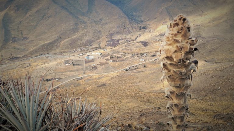 2000 razones para cambiar abono