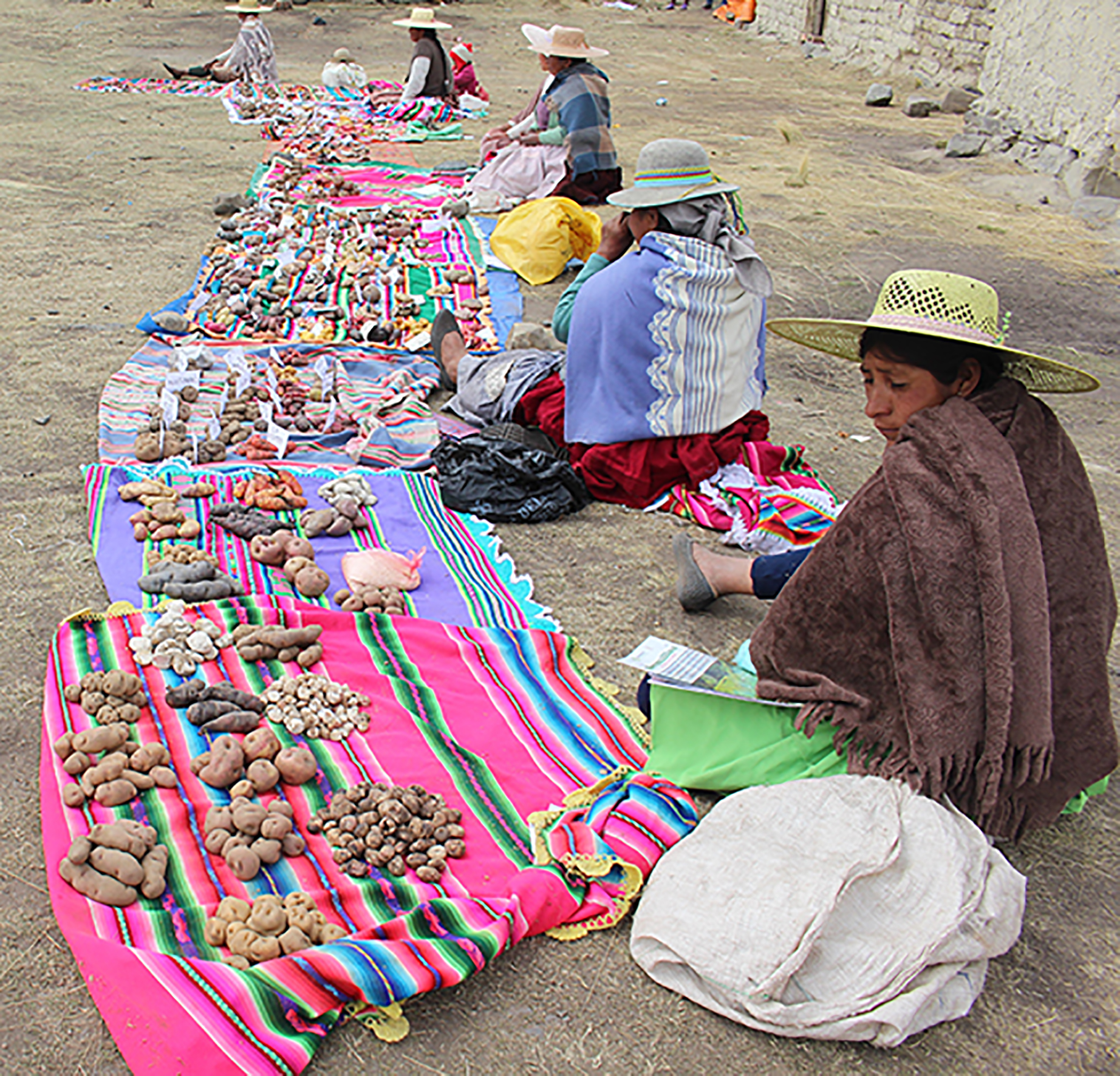 como empeso la feria