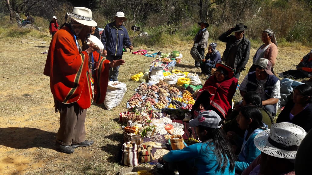 4 Pocona feria de semillas pocona