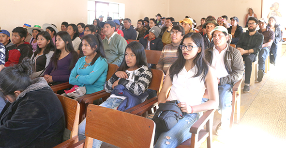 Semillas pocona jóvenes