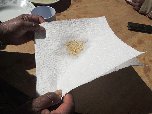 Oruro semilla makunku