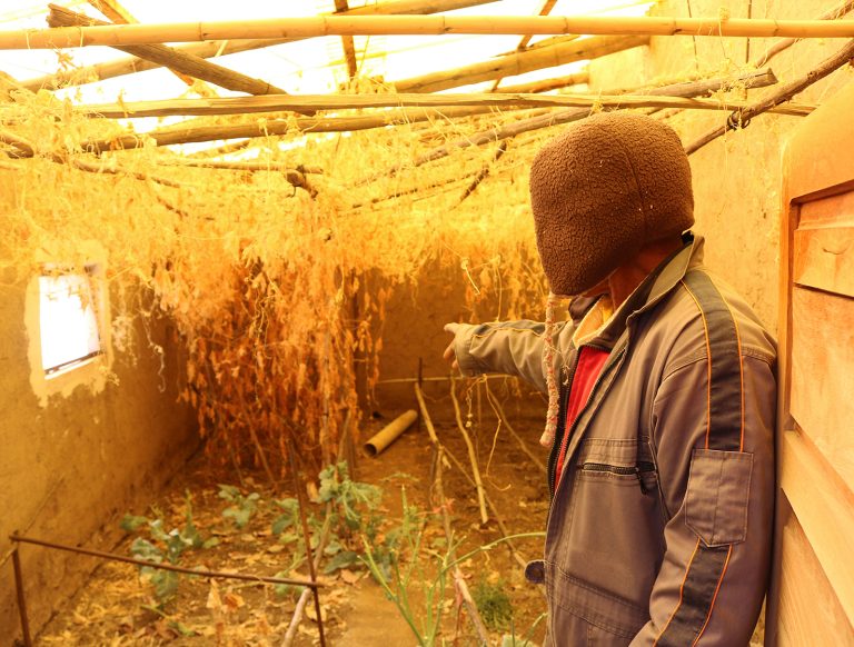 COMUNARIOS DE POOPÓ COSECHAN AGUA DE LLUVIA COMO ALTERNATIVA A LA ESCASEZ Y LA CONTAMINACIÓN MINERA