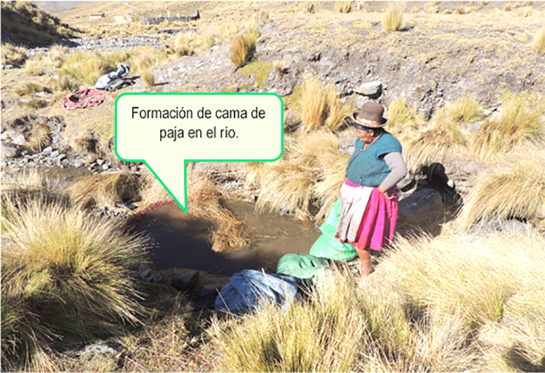 Chuño tunta cama de paja