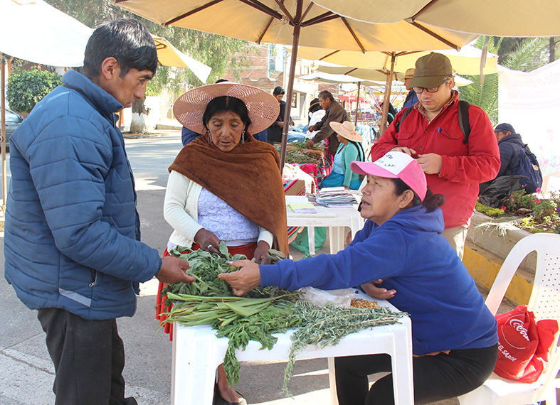 Feria plantas medicinales Probioma