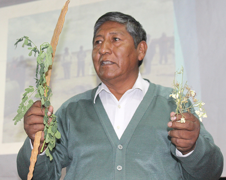 Taller Plantas medicinales Juan Cayoja