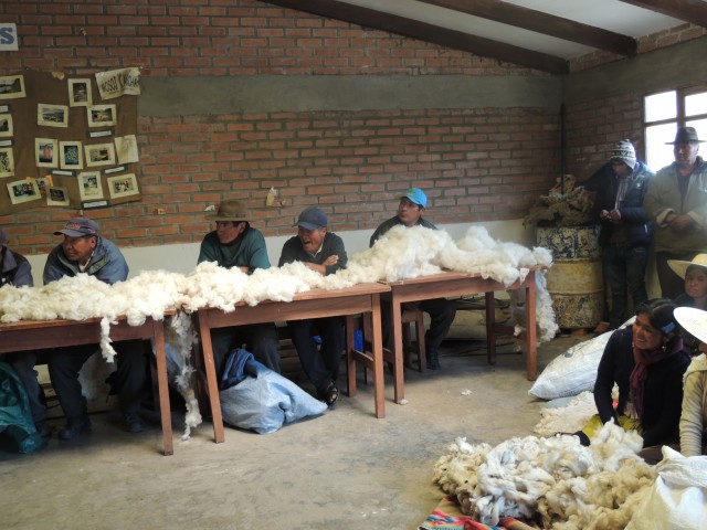 «Sombreros ecológicos de lana de oveja»