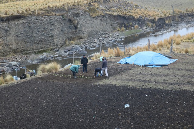 Producción Agroecológica de Hortalizas: DIVERSIFICAR LA ALIMENTACIÓN