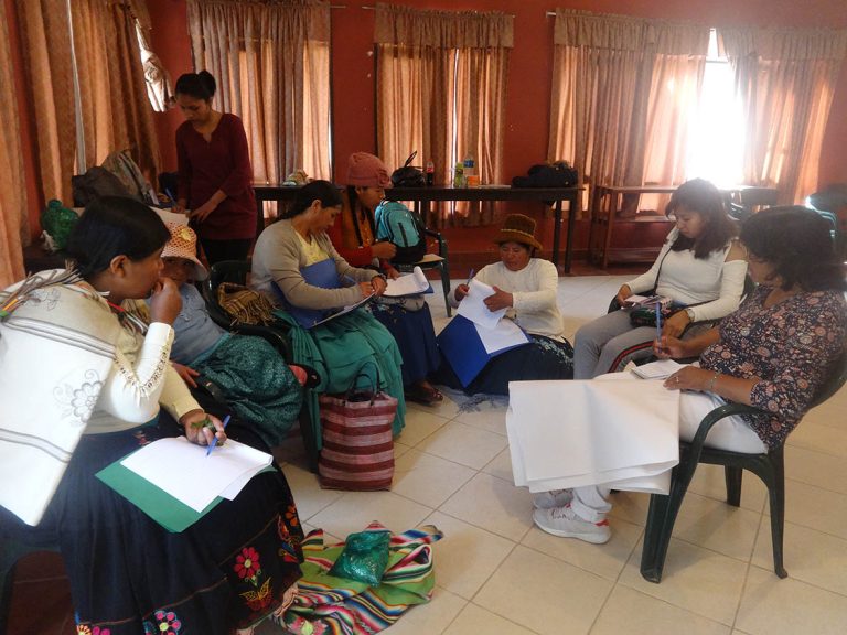 Mujeres indígenas originarias y campesinas de Tierras Altas y Tierras Bajas denuncian fuertes impactos del extractivismo en sus territorios y en sus vidas