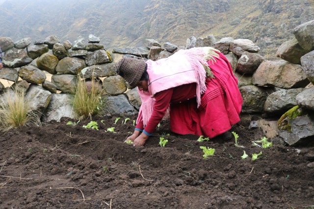 4 huerto familiar mujer