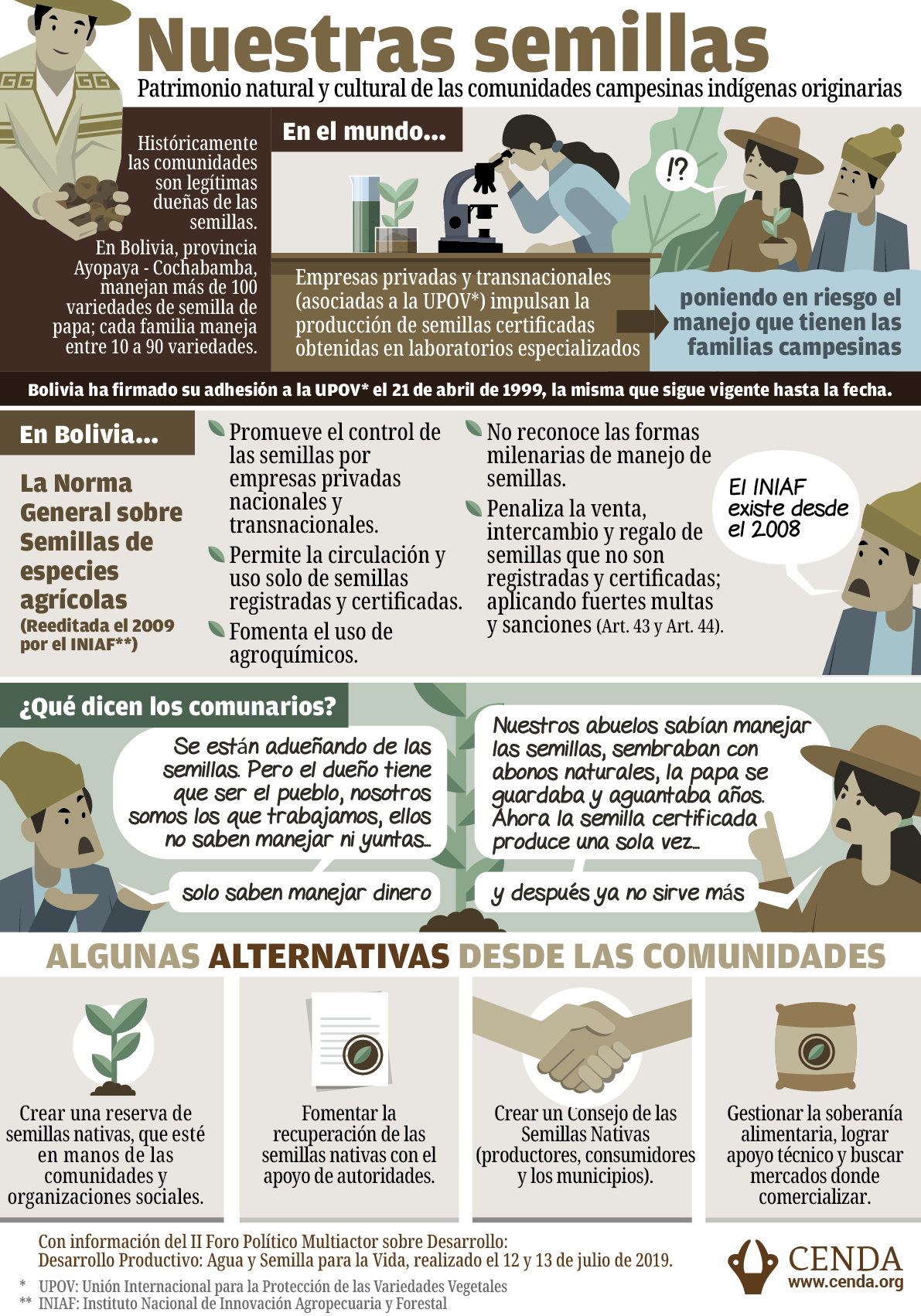 SSA Historieta semilla