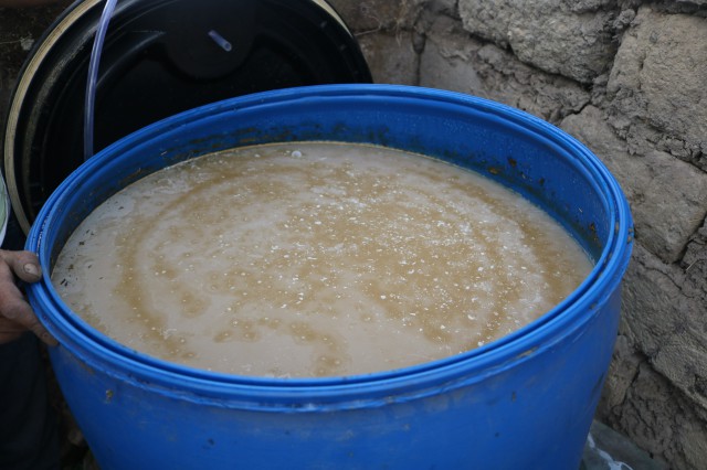 12 biol luego de un mes