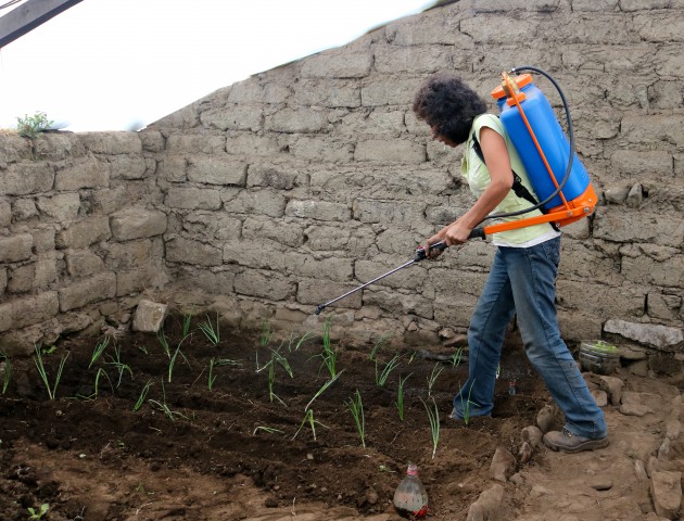 12 bio fimigando plantas