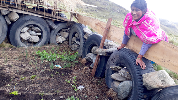 Agroecología: «SEMBRARÉ HORTALIZAS EN TODO MI INVERNADERO»