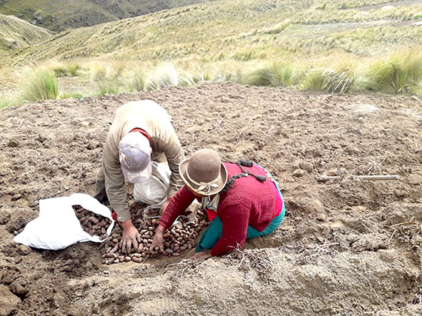 Epifanio makunku con esposo