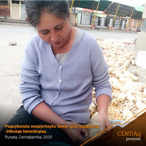 «Puquykunata waqaychayku llawar qutu watantinta  mikusqa kanankupaq»