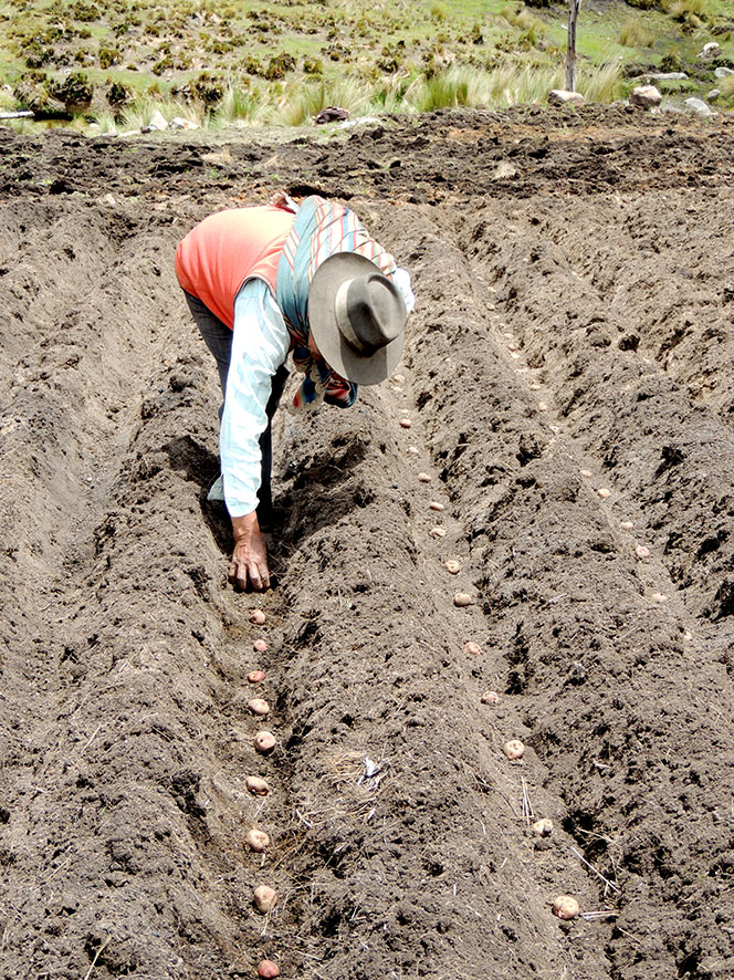 La Predicción Climática, una garantía para la Seguridad y Soberanía Alimentaria