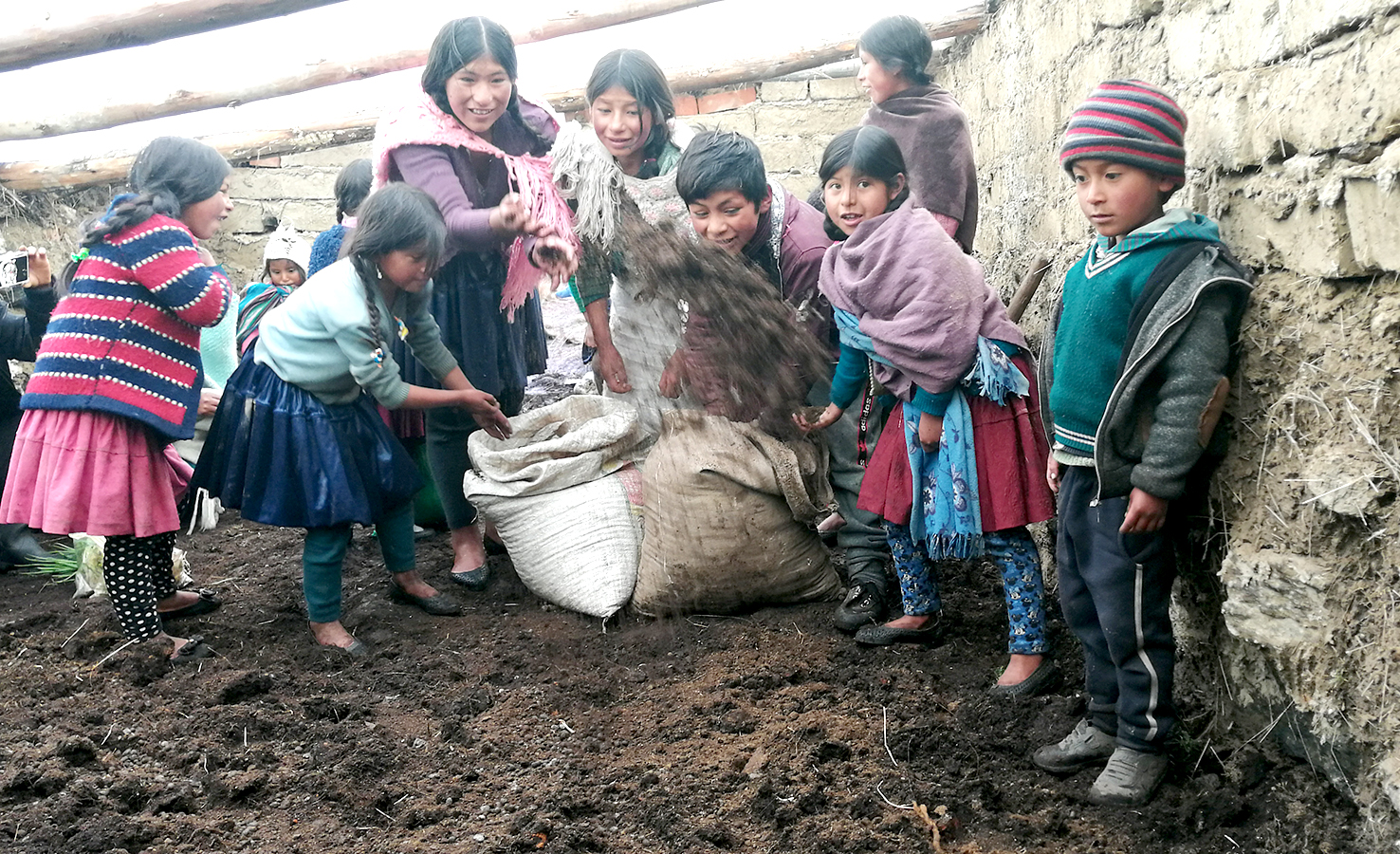 preparando la tierra kalatacata