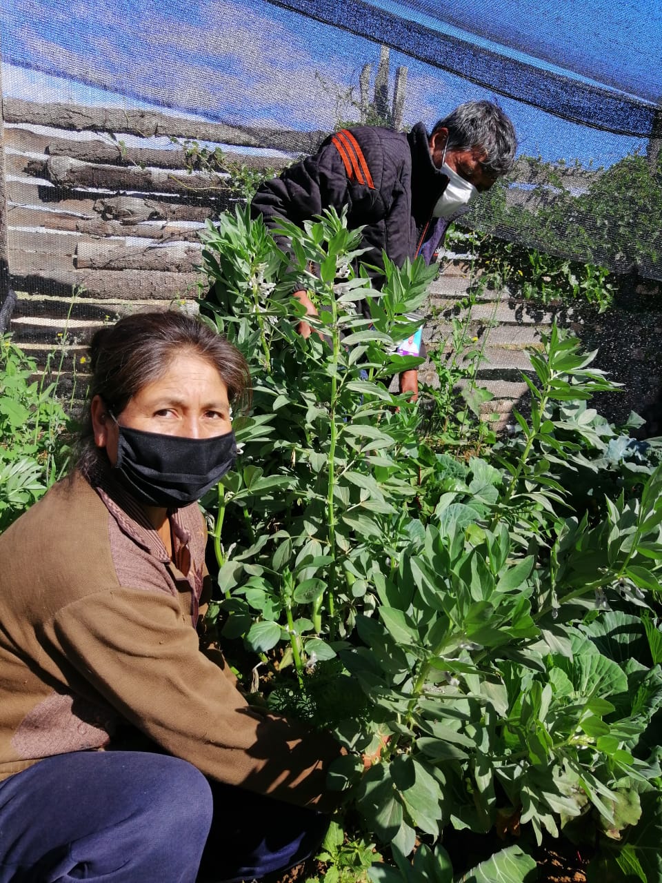 Ros Mery Moreira Zárate