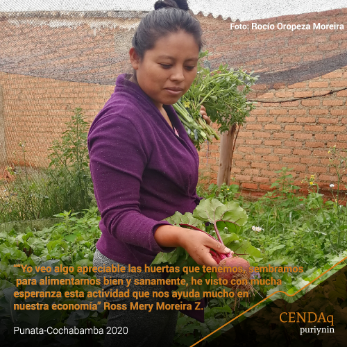 LOS HUERTOS FAMILIARES AGROECOLÓGICOS AYUDAN EN LA ECONOMÍA Y ALIMENTACIÓN SANA DE FAMILIAS EN LOS VALLES