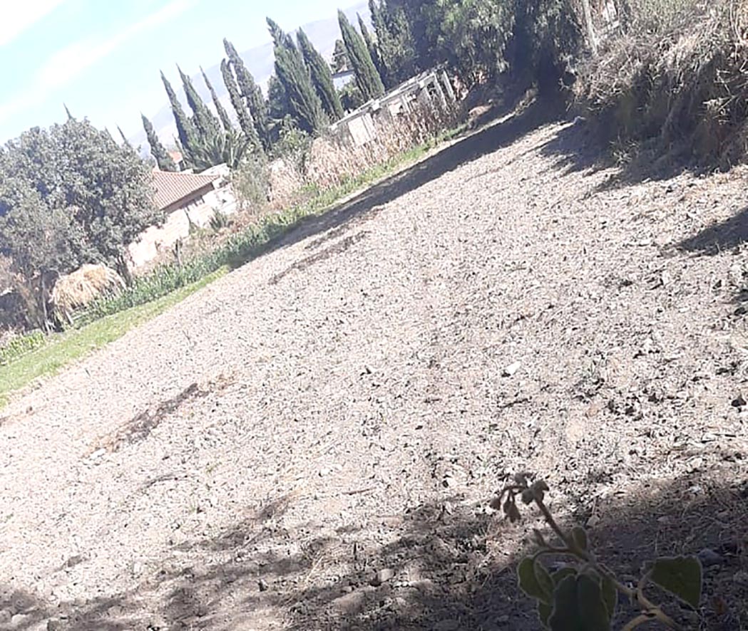 Fedecor parcela sin nada